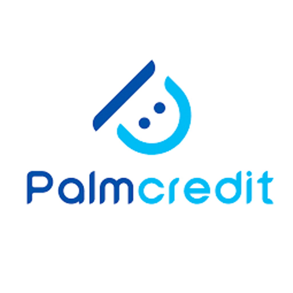 palmcredit app, PALMCREDIT CUSTOMER EXPERIENCES