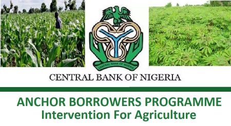 CBN Anchor Borrowers Programme 