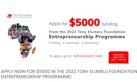TEF Entrepreneurship Programme