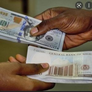 Nigerian Naira In Free Fall, Exchanges N607/$ In Parallel Market