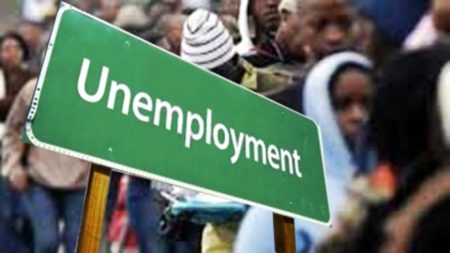 Nigeria Unveils Digital Platform For Employers And Job Seekers