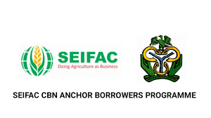 How To Apply For Federal Government Empowerment Loan Form In 2022