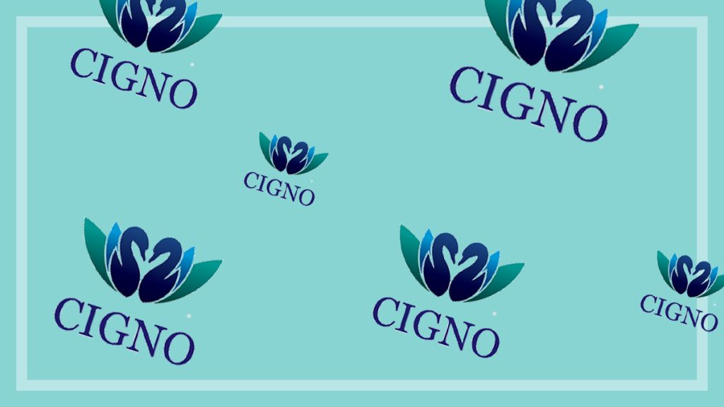 Cigno Loans Review 2023 [Best Loans Like Cigno]